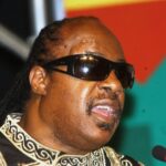Stevie Wonder Feature scaled 1