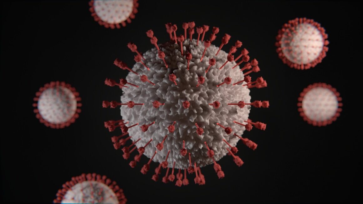 15 Quick Viruses Facts - Science - News