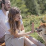 6 Essential Tips for Ensuring Your Dog’s Well-Being - Animals & Plants - News