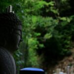 Discovering the Human Side of Lord Buddha: 13 Surprising Facts
