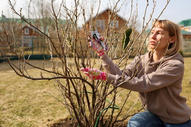 Planning Your Seed to Harvest Garden: A Step-by-Step Guide
