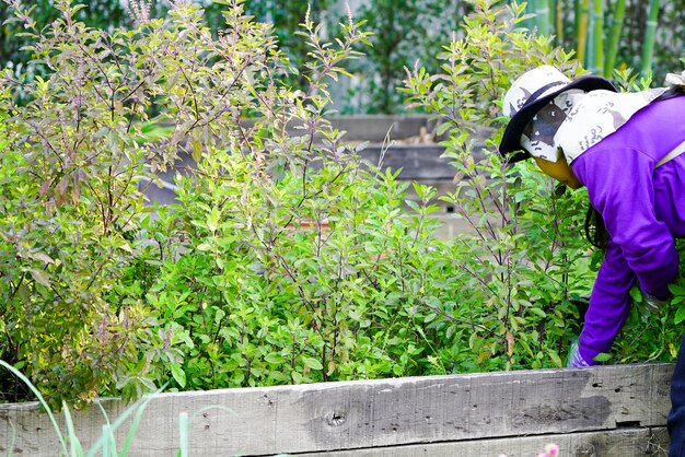 Planning Your Seed to Harvest Garden: A Step-by-Step Guide