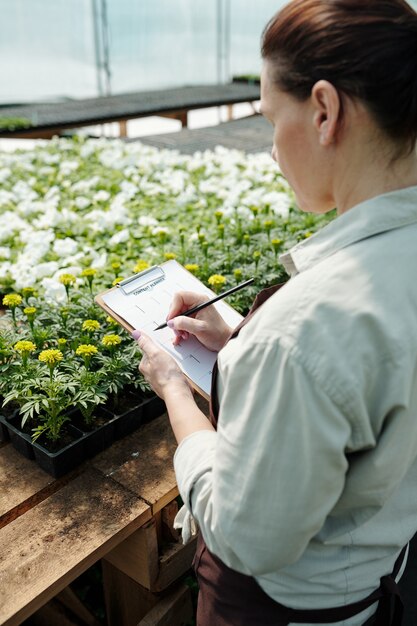 Planning Your Seed to Harvest Garden: A Step-by-Step Guide