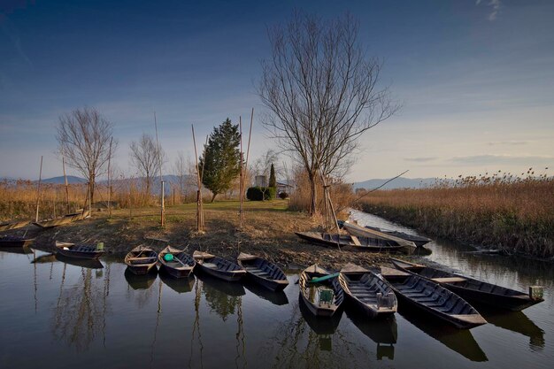 Nine Abandoned Places Transformed by Nature