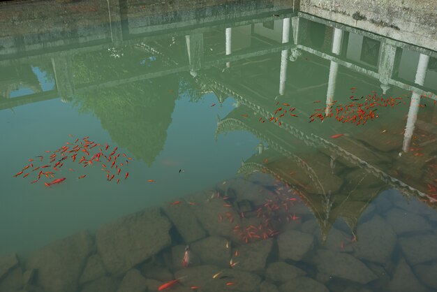 The Surprising Legal Restrictions on Collecting Rainwater: A State-by-State Analysis