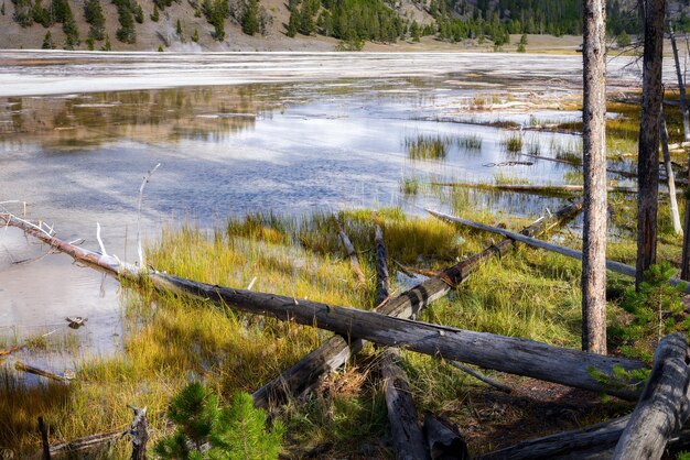 The Surprising Legal Restrictions on Collecting Rainwater: A State-by-State Analysis