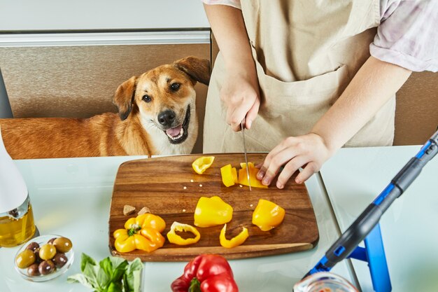 5 Simple Steps to Help You Manage Your Dog