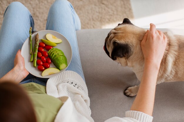 5 Simple Steps to Help You Manage Your Dog