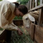 The Challenges of Domestication: Why Some Animals Refuse to Be Tamed