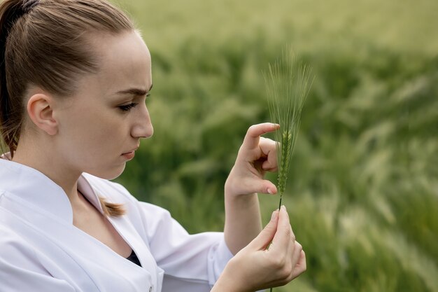 The Science Behind the Irresistible Fresh-Cut Grass Smell: A Fascinating Exploration